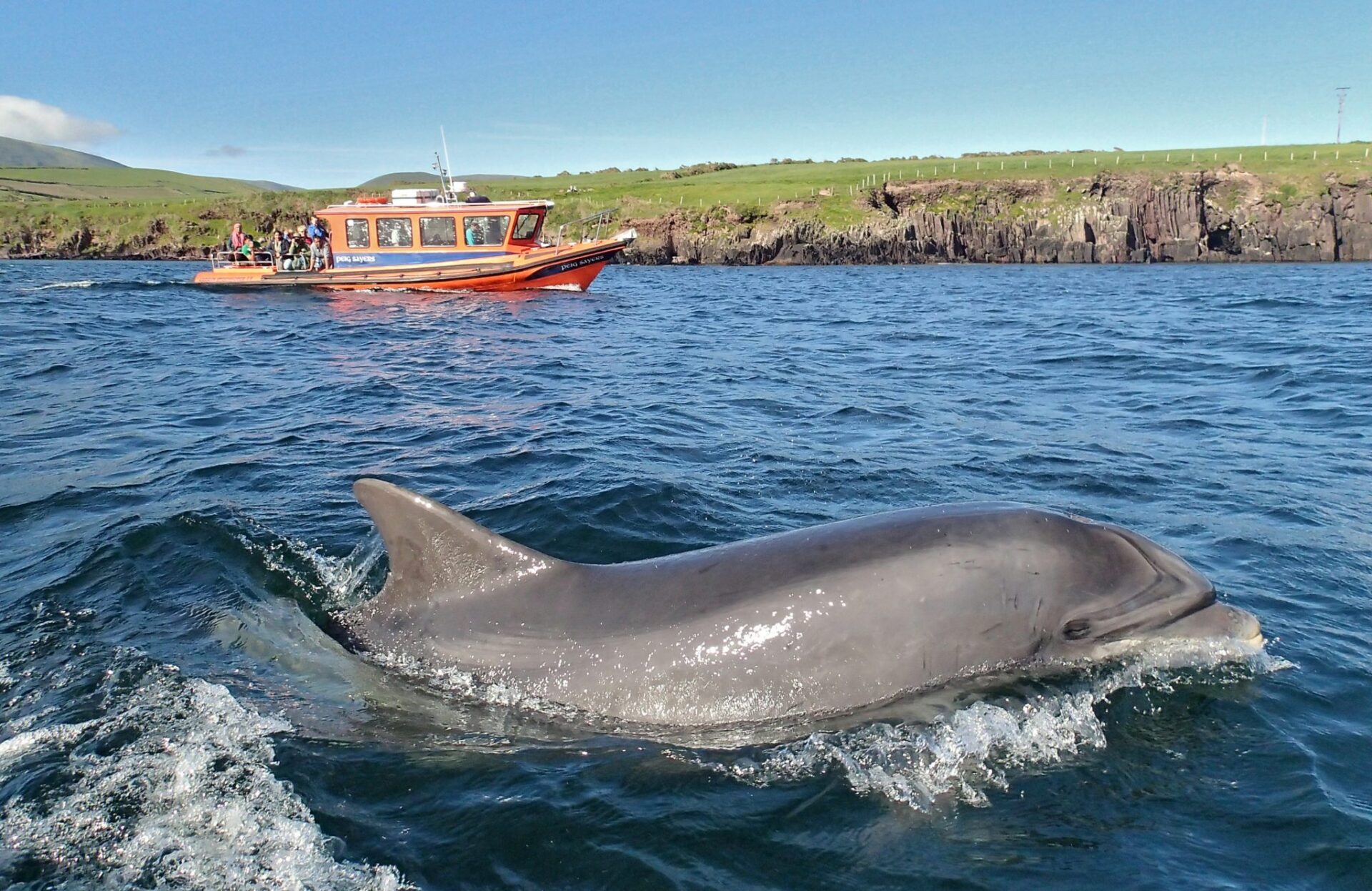 peig sayers blasket islands